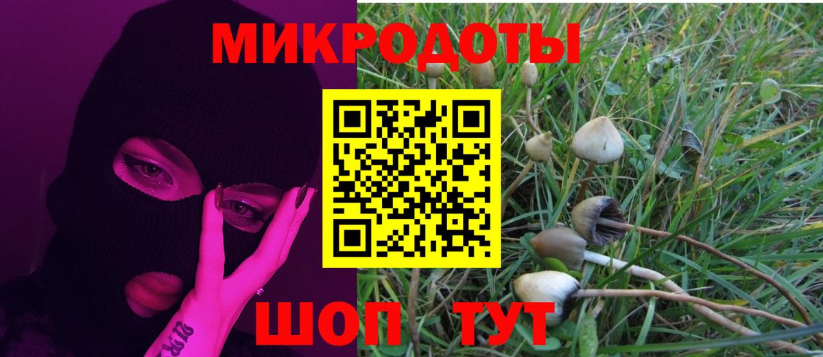 Липецк  Галлюциногенные грибы Psilocybine cubensis  Вход с VPN 